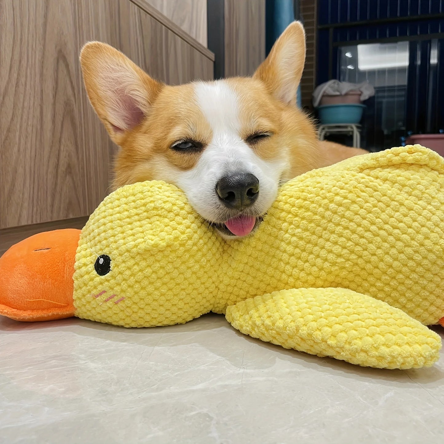 Sunny Duck for Dogs – The Perfect Playmate, Sleeping Companion, and Chewer 🐶💖🐥