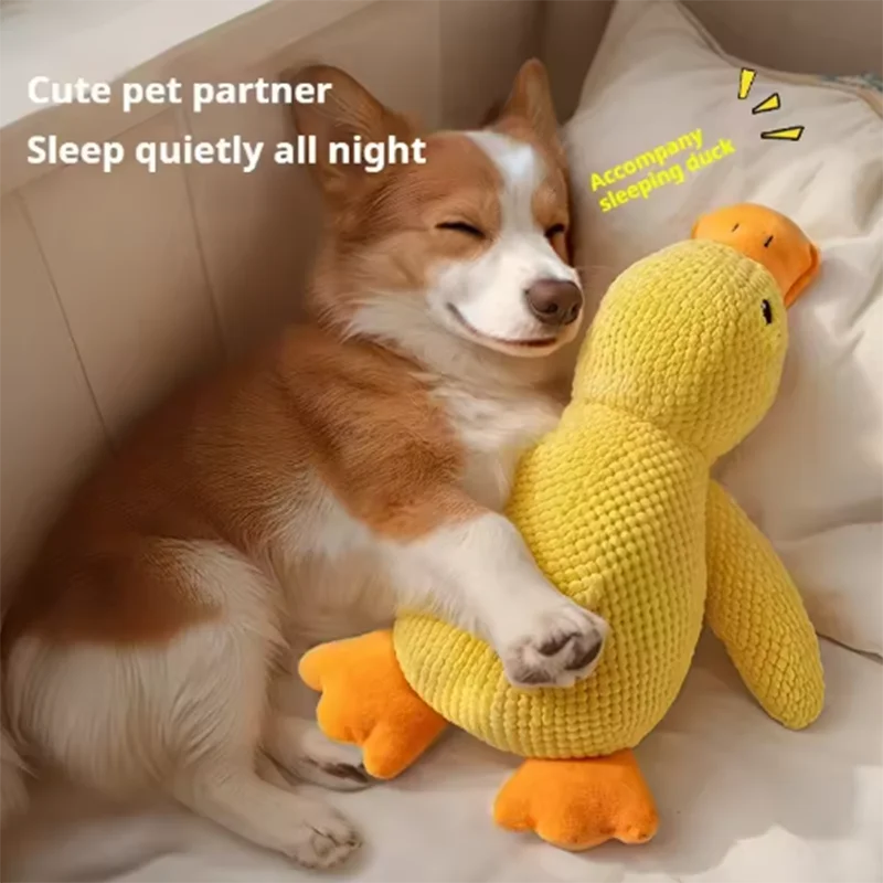 Sunny Duck for Dogs – The Perfect Playmate, Sleeping Companion, and Chewer 🐶💖🐥