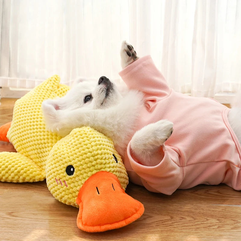 Sunny Duck for Dogs – The Perfect Playmate, Sleeping Companion, and Chewer 🐶💖🐥