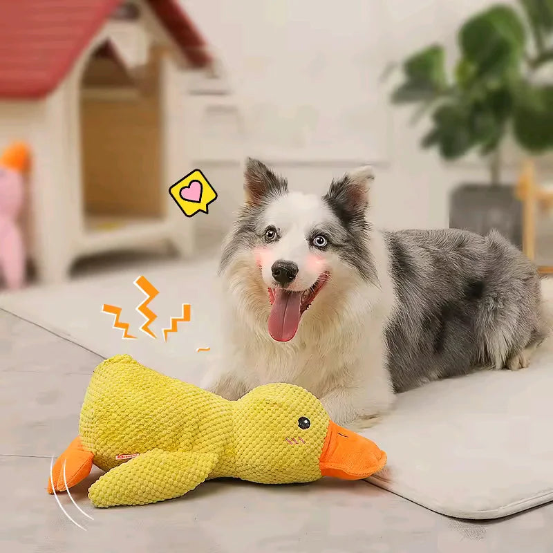 Sunny Duck for Dogs – The Perfect Playmate, Sleeping Companion, and Chewer 🐶💖🐥