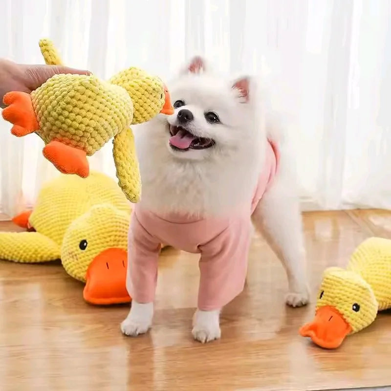 Sunny Duck for Dogs – The Perfect Playmate, Sleeping Companion, and Chewer 🐶💖🐥